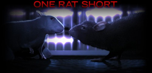 One Rat Short Fotoğrafları 4