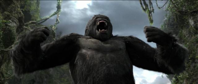 King Kong Fotoğrafları 100