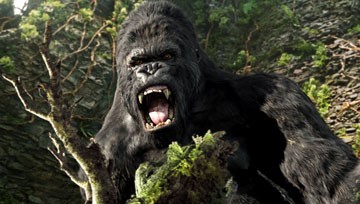 King Kong Fotoğrafları 55