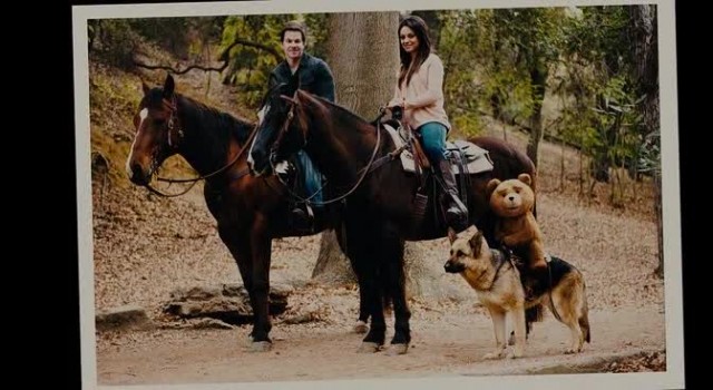 Ayı Teddy fotoğrafı