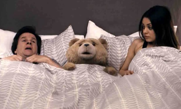Ayı Teddy Fotoğrafı