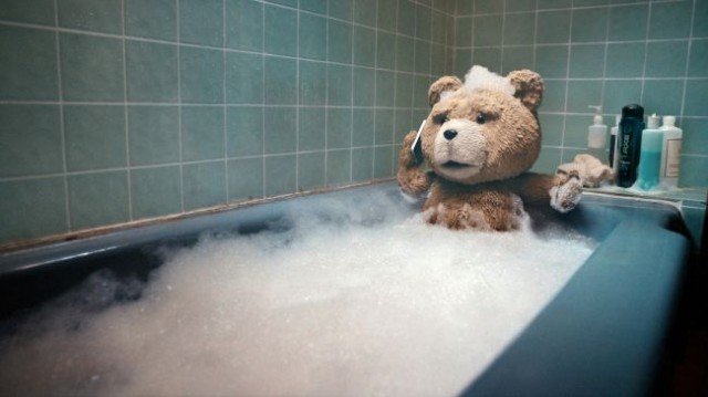 Ayı Teddy Fotoğrafı