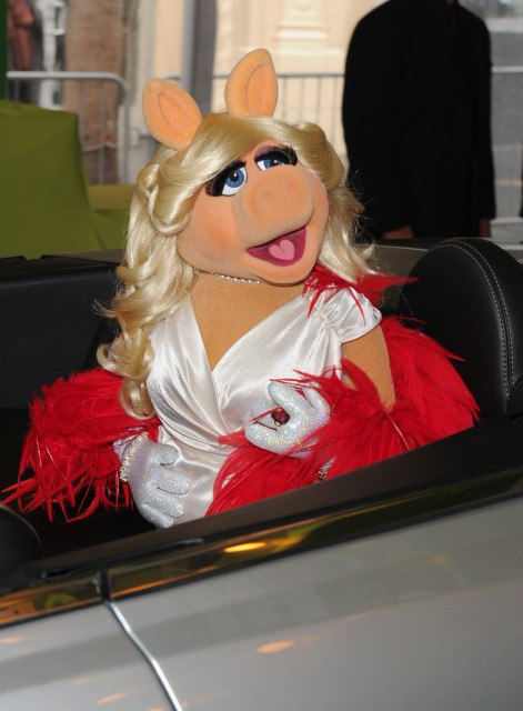 Muppets Fotoğrafı