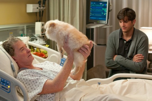 Bağlanmak Yok Fotoğrafı