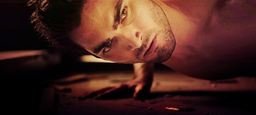 Teen Wolf Fotoğrafı