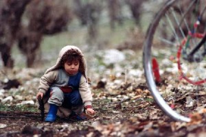 Kaplumbağalar da Uçar Fotoğrafları 3