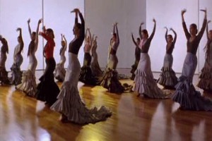 Flamenco fotoğrafı