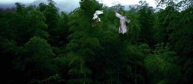 Kaplan ve Ejderha Fotoğrafı