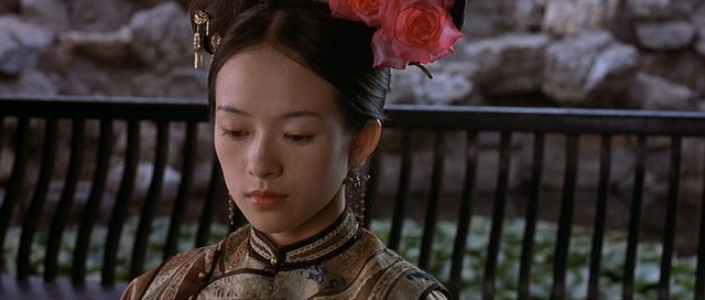 Kaplan ve Ejderha Fotoğrafı