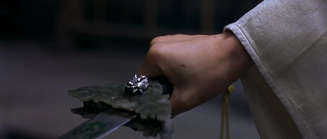 Kaplan ve Ejderha Fotoğrafı