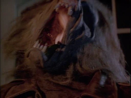 Komşum Bir Vampir 2 Fotoğrafı