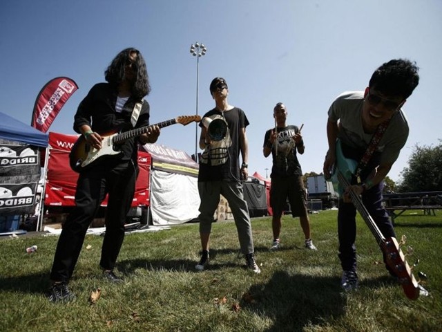 Flying Butterfly Fotoğrafı