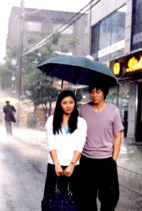 Daddy-long-legs Fotoğrafı