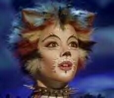 Cats Fotoğrafı