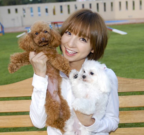 Happy Together: All About My Dog Fotoğrafı