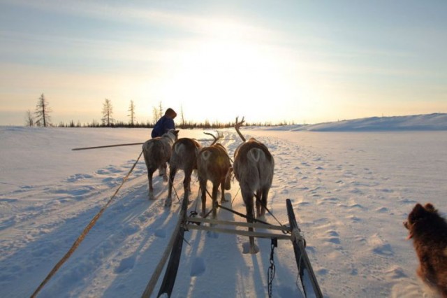 The Final Tundra Fotoğrafı