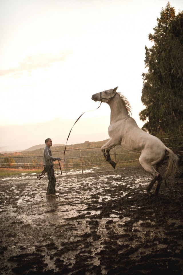Champ Fotoğrafı