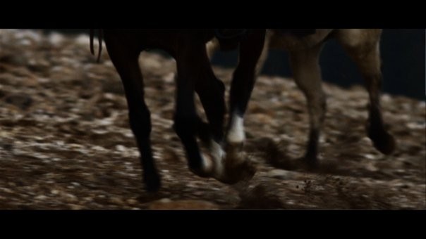 Bloodline Fotoğrafı