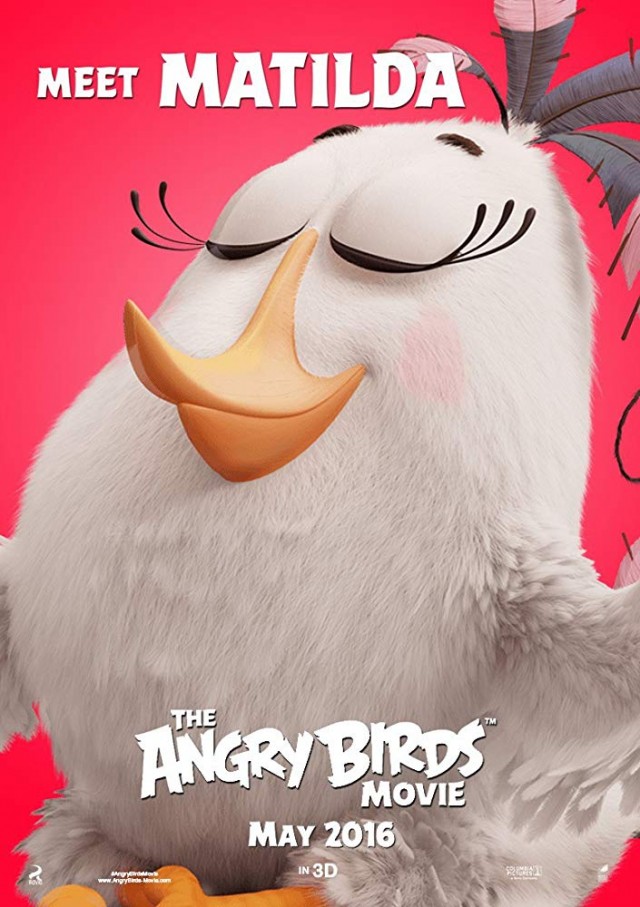 Angry Birds Fotoğrafı