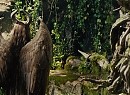 Malefiz Fotoğrafı