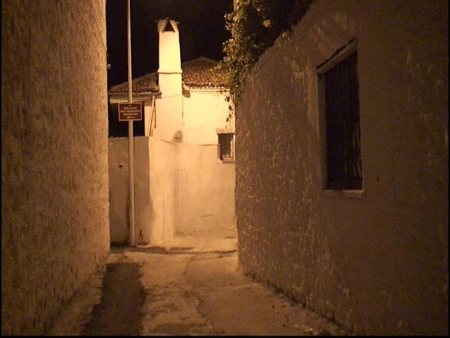 Kırokula Vampir Muğlada Fotoğrafı