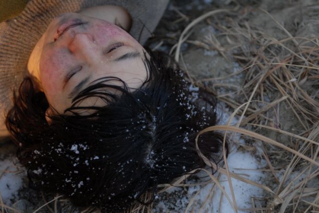 End Of Animal Fotoğrafı