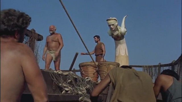 Altın Postlu Cengaver Fotoğrafı