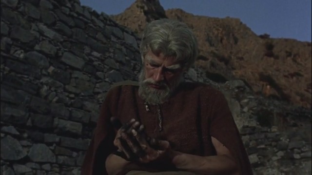 Altın Postlu Cengaver Fotoğrafı