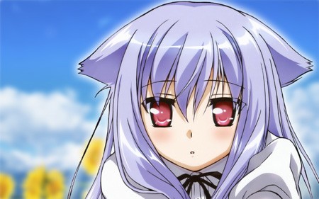 Mayoi Neko Overrun! Fotoğrafı