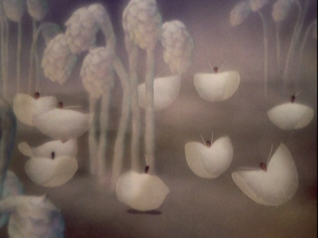 Fantasia Fotoğrafı