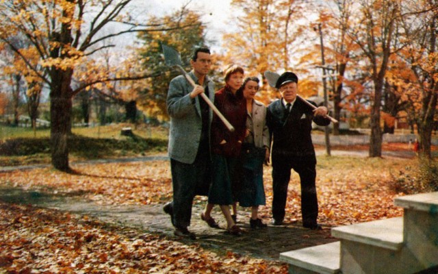 Harry'nin Derdi Fotoğrafı