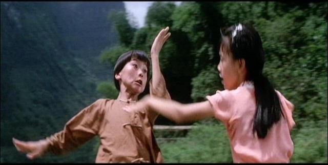 Shaolin Temple 2: Kids From Shaolin Fotoğrafları 14