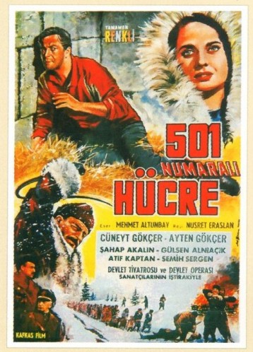 501 Numaralı Hücre Fotoğrafı