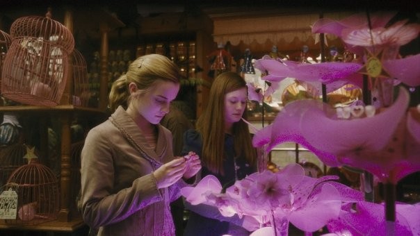 Harry Potter ve Melez Prens Fotoğrafı
