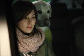 Karanlığın Gözleri Fotoğrafı