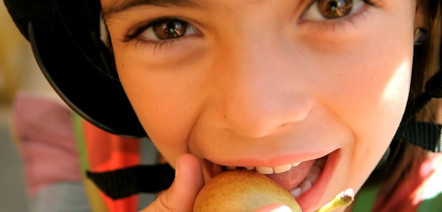 Life in a Day Fotoğrafı