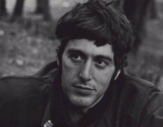 Esrar Bitti Fotoğrafı