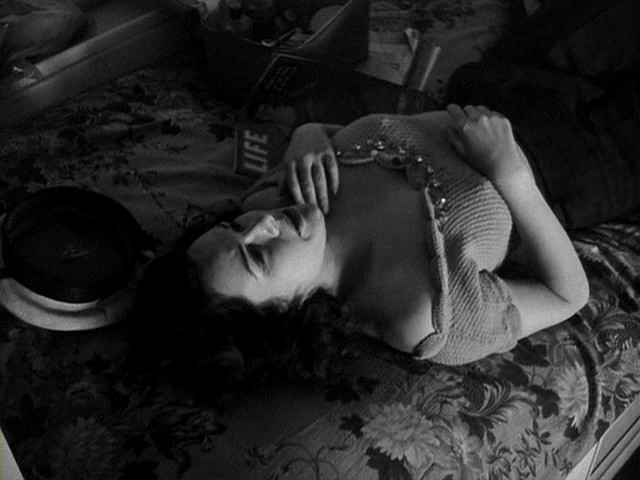 Ölüm Raporu Fotoğrafı