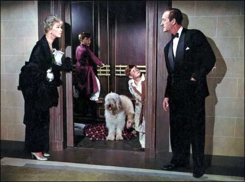 Please Don't Eat The Daisies fotoğrafı