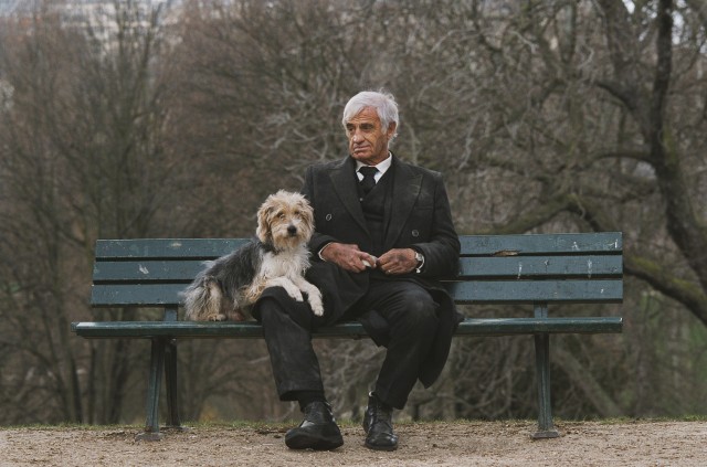 Un Homme Et Son Chien Fotoğrafları 9