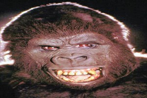 King Kong Fotoğrafı