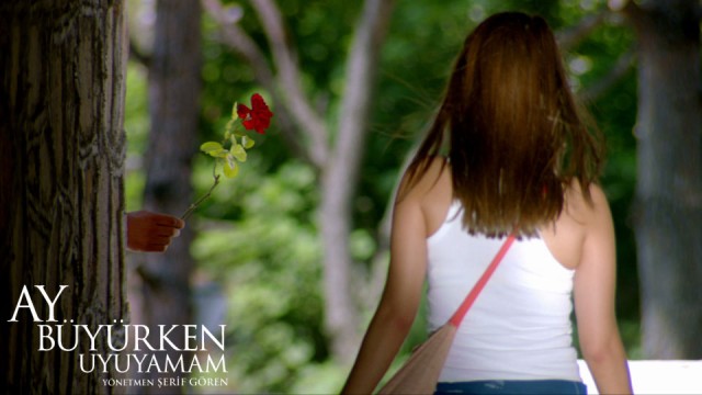 Ay Büyürken Uyuyamam Fotoğrafı