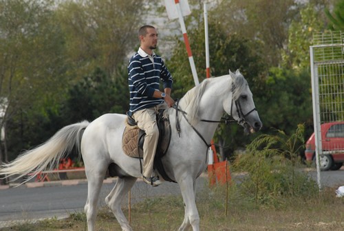 Doludizgin Yıllar Fotoğrafı