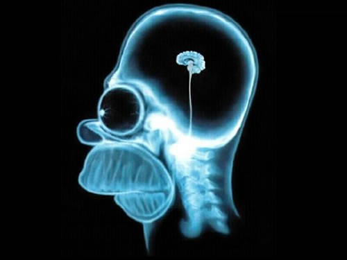 Simpsonlar Fotoğrafı