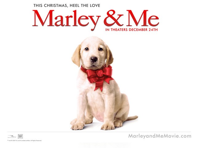 Marley ve Ben: Gençlik Yılları Fotoğrafı