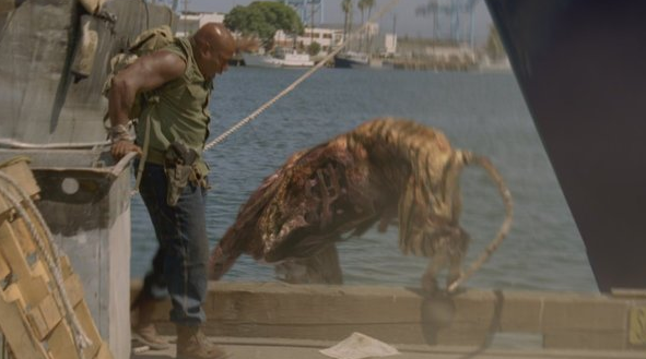 Zombie Apocalypse Fotoğrafı