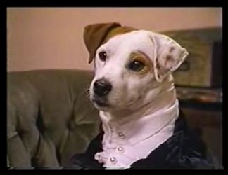 Wishbone,yaşa Wishbone Fotoğrafları 20