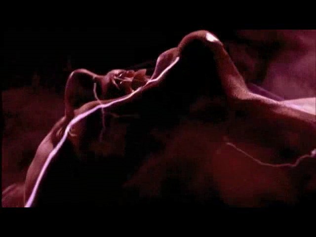 McFly Nowhere Left To Run Fotoğrafı