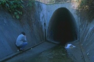 Asi Gençlik Fotoğrafı