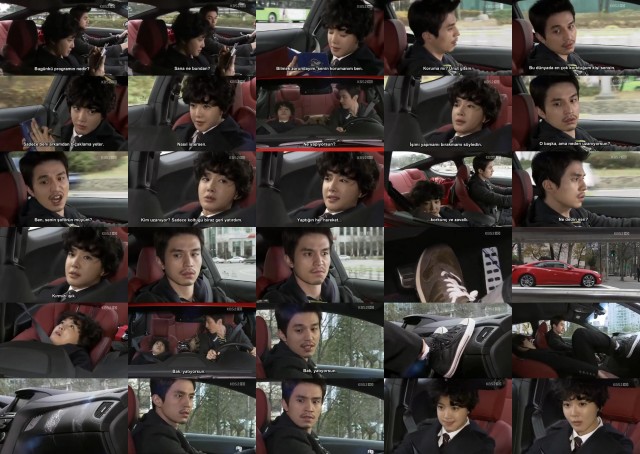 Wild Romance Fotoğrafı